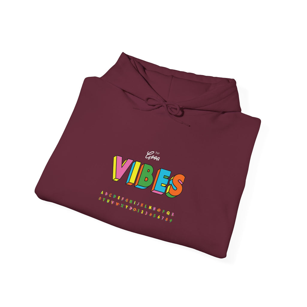 VIBES Graphic with Cartoon Raccoon Hoodie | Retro Cozy Sweatshirt