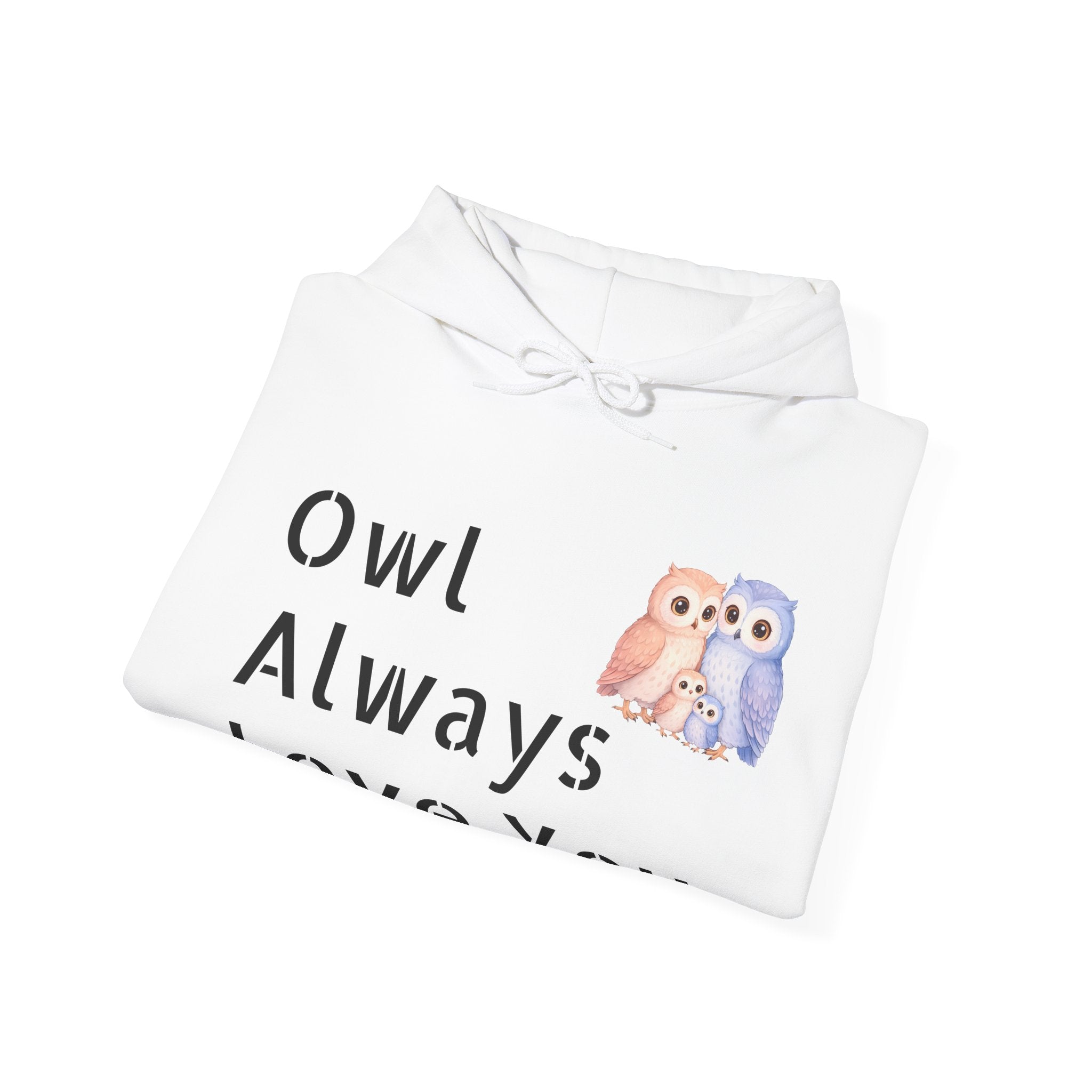 Watercolor Hand-Drawn Owl Hoodie | Sentimental Note, Cozy Pullover